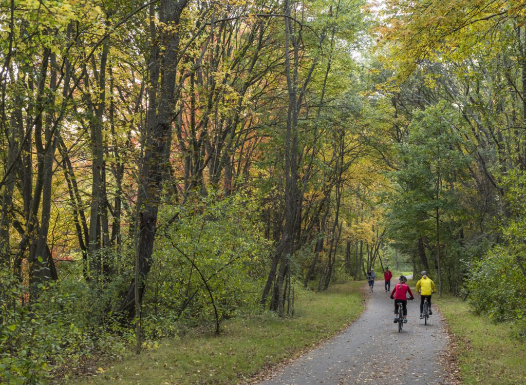 Escape the City:  A Day Trip to the Neponset River Reservation