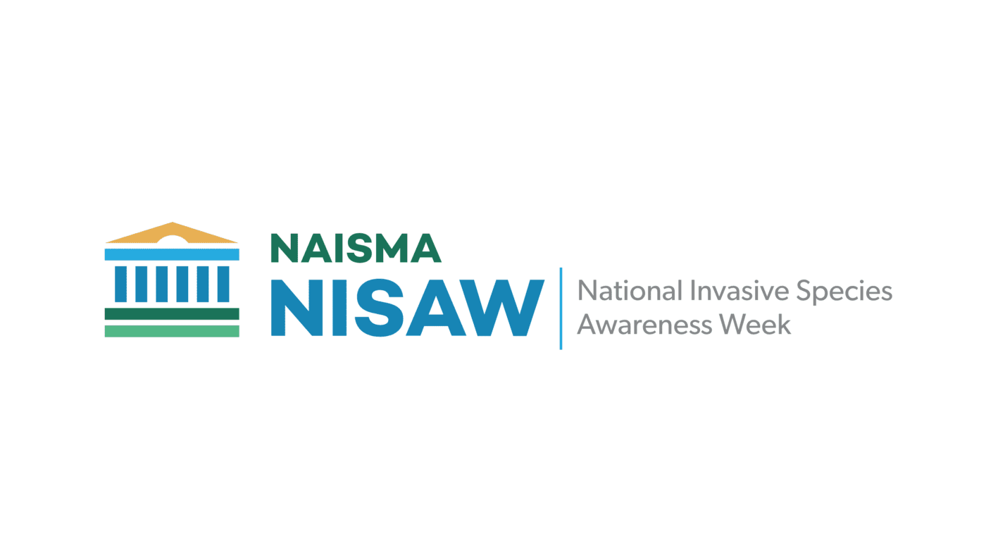 NISAW 2025 Logo